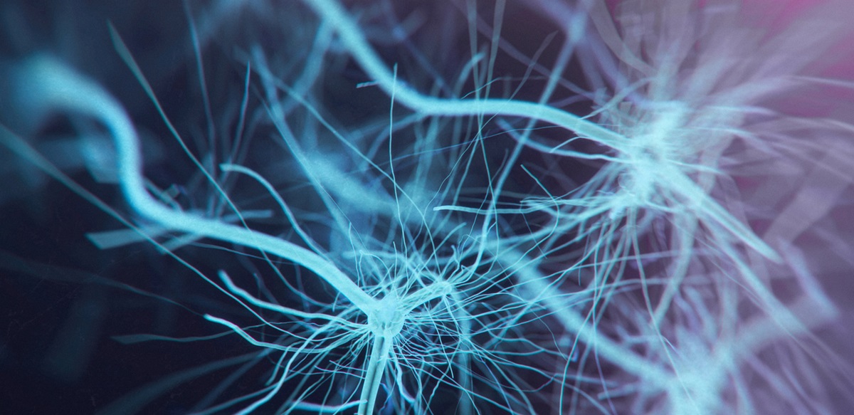 Image: neurons