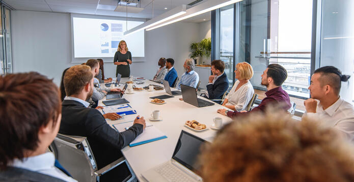 mature female CEO presenting project plans for the coming year