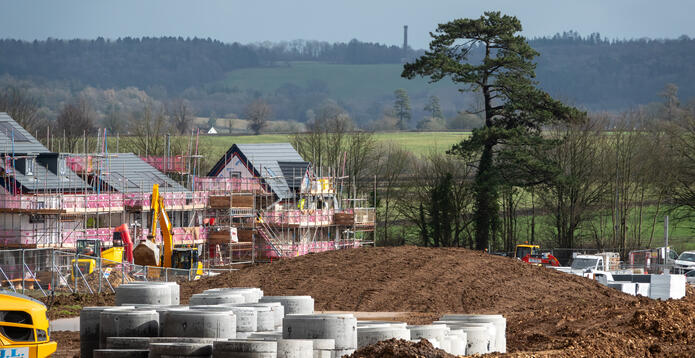 GettyImages-2201735141_Digital - Website - Standard ImageCard