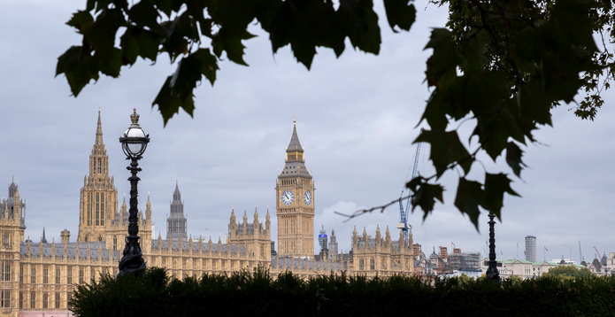 UK parliament framed by trees Card
