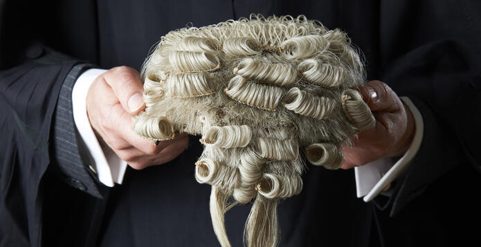 Barrister wig