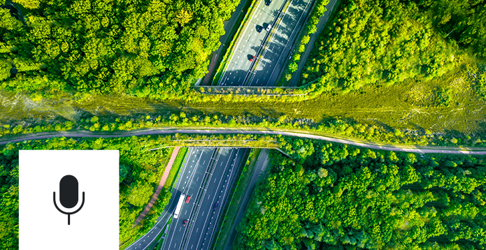 The Laarderhoogt Ecoduct, photo by Artur Debat via Getty Images