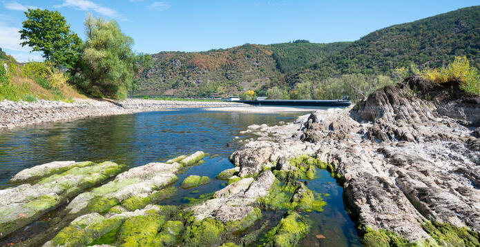 Low water levels on the Rhine August 2026_Digital - Website - Standard ImageCard