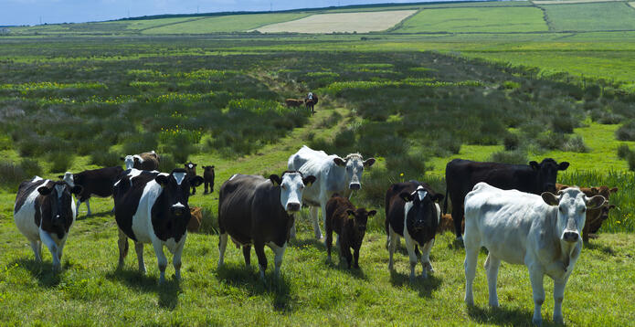 Biomethane producers will benefit from the new proposals