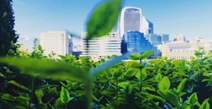 City of London green finance card