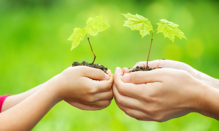 Green agenda