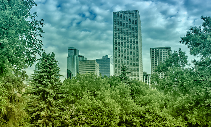 RE_NZ_ART10_pullout_700x420px_V2