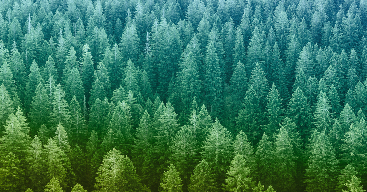 Net zero real estate offsetting and natural climate solutions