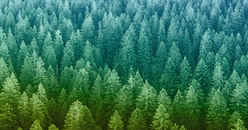 RE_NZ_ART11_SEO_1200x630_V1