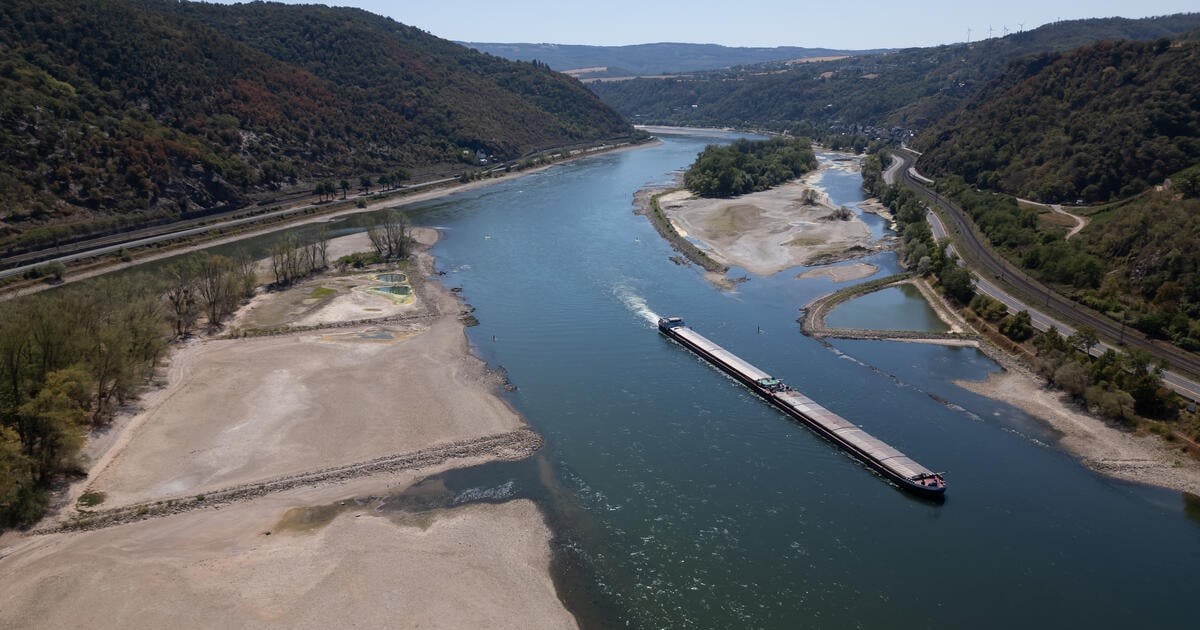 Exposed sandbank amidst low Rhine river water levels Aug 2026