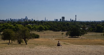 Heatwave London 2022 SEO