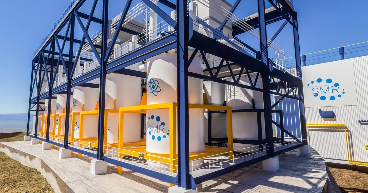 Small modular nuclear reactor power plant