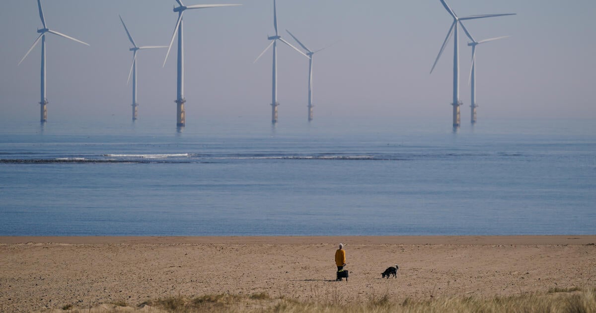 A woman walks her dog on the beach in front of the EDF energy offshore wind farm at South Gare near Redcar on March 20, 2025 in Redcar, United Kingdom.