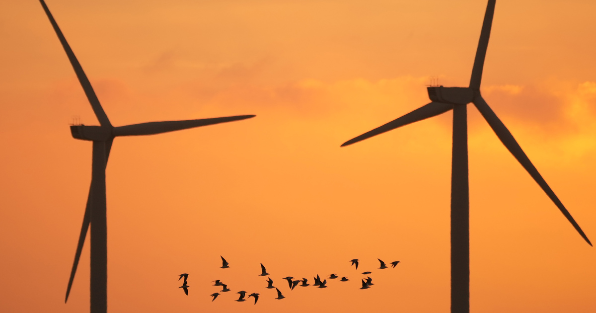 Sunrise wind turbines in silhouette SEO