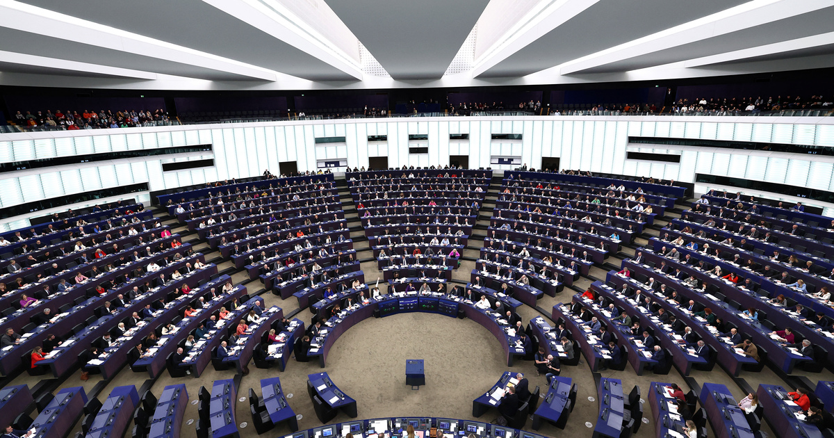 MEPs in European Parliament Strasbourg SEO