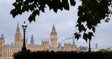 UK parliament framed by trees SEO