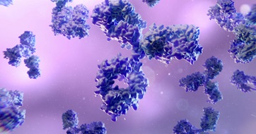 Antibodies_Digital - SEOSocialEditorial image