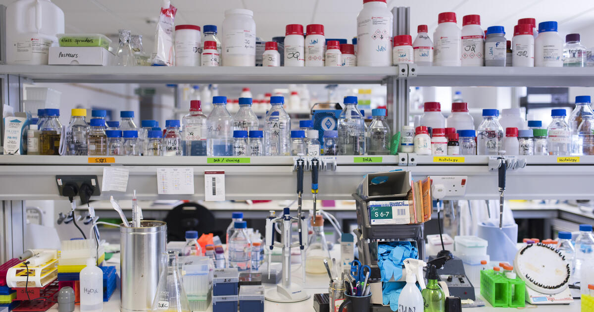 &lsquo;Good news&rsquo; for pharma companies as UPC provides clarity on imminent infringement 