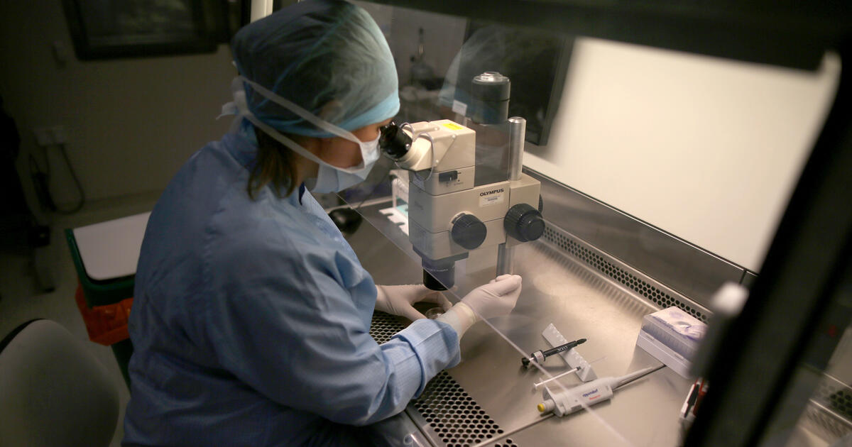 A laboratory at Birmingham Women's Hospital
