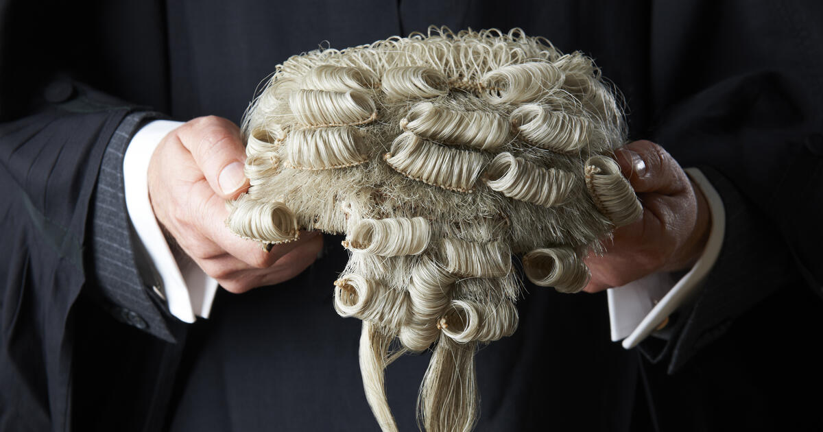 Barrister wig