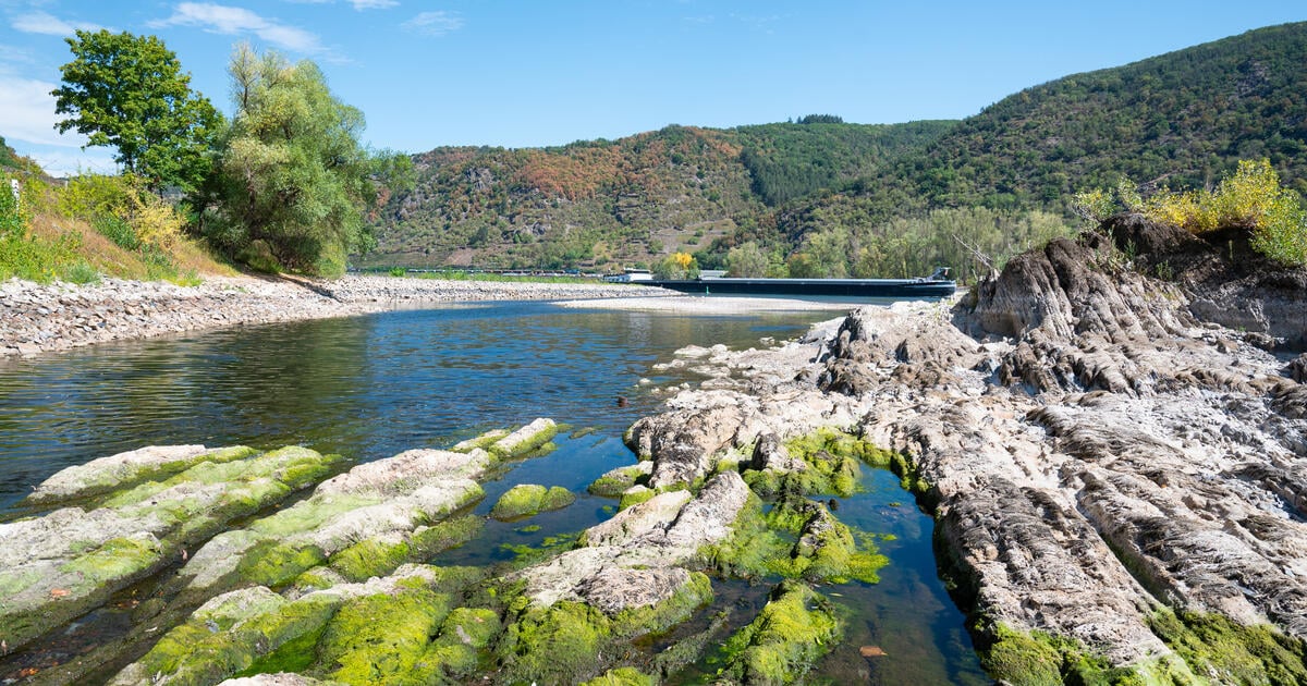 Low water levels on the Rhine August 2026