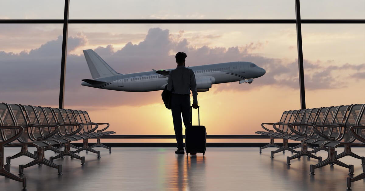 Airline passenger in silhouette with luggage