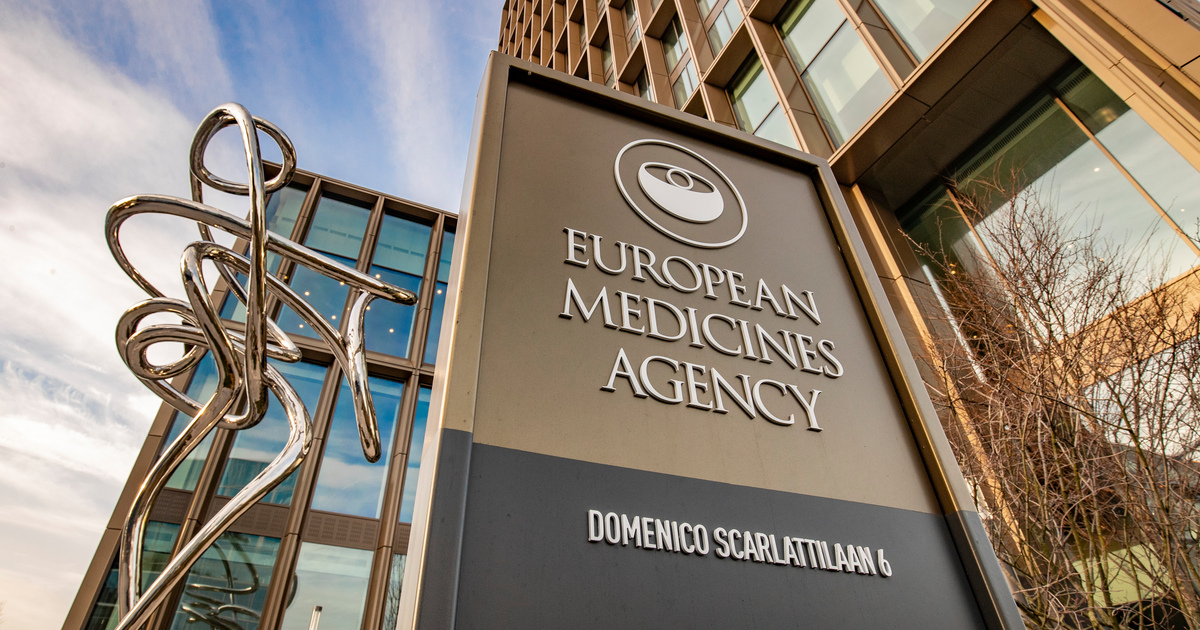 EMA to consult on biosimilars regulatory requirements in 2025