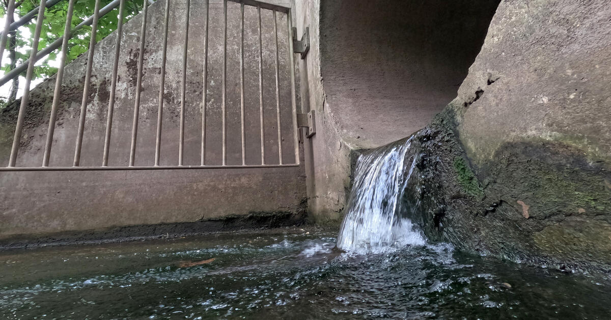 Water flowing from a concrete culvert into a shallow stream