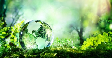 earth day forest greenery seo