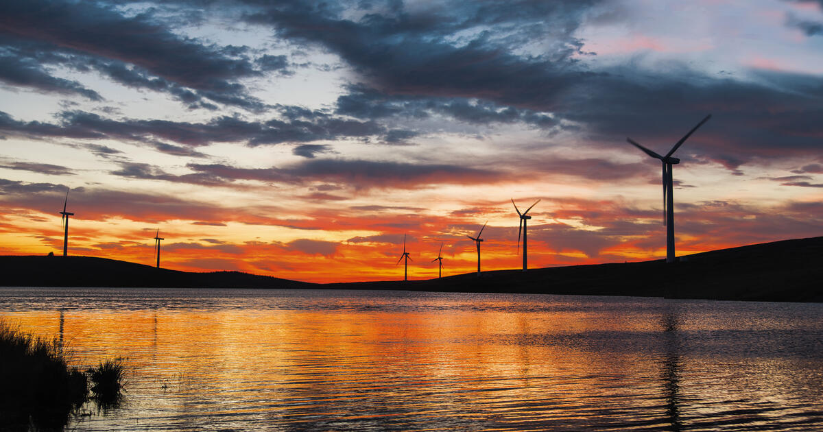 A row of offshore wind turbines viewed across a body of water at sunset