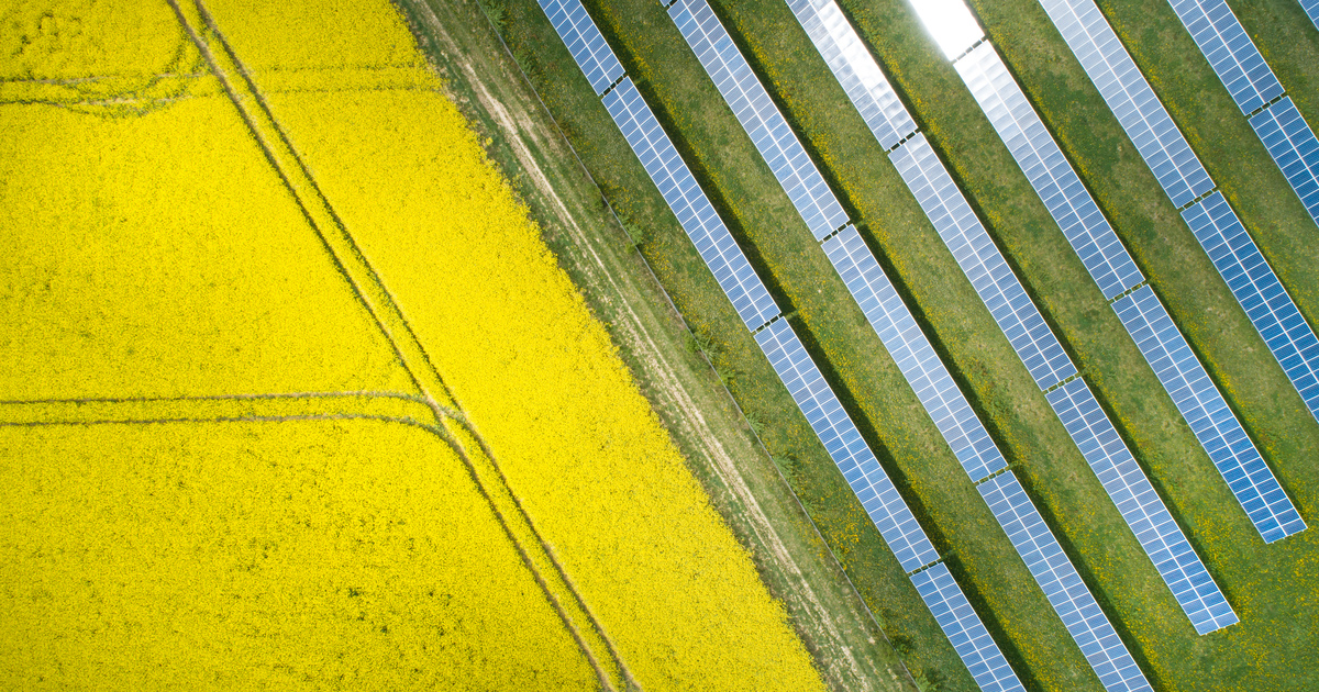 Solar on farmland SEO