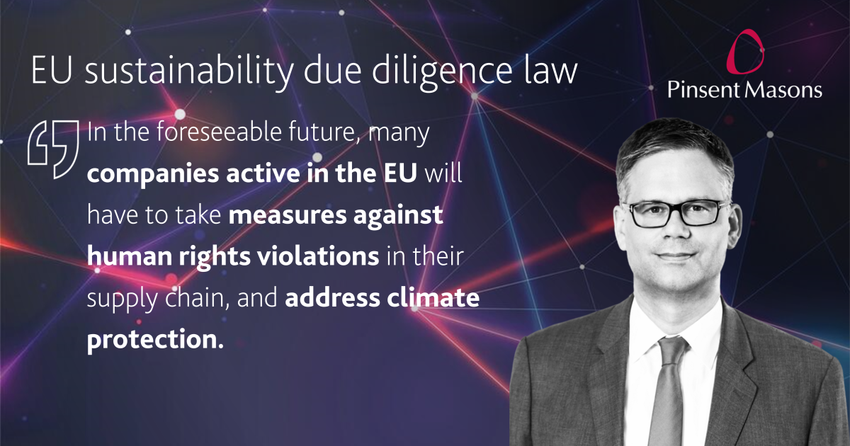 EU sustainability due diligence law