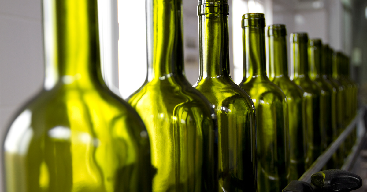Row of green glass wine bottles SEO