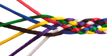 Diversity SEO 2