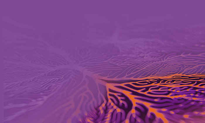 Supply chains- embracing the net zero carbon challenge PO 700 x 420px v2.._