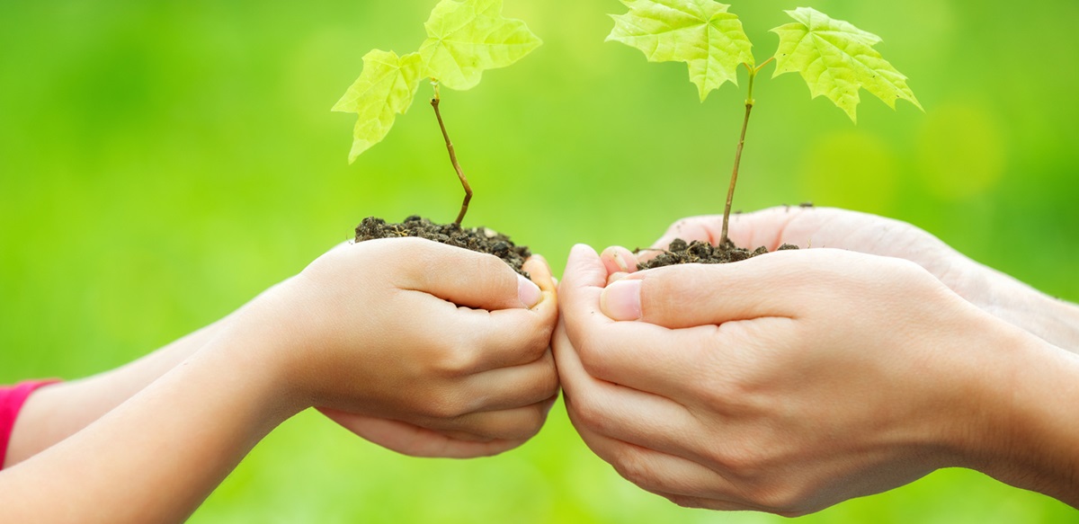 Embracing Sustainability - 1440x700